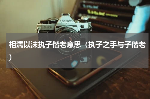 相濡以沫执子偕老意思（执子之手与子偕老）