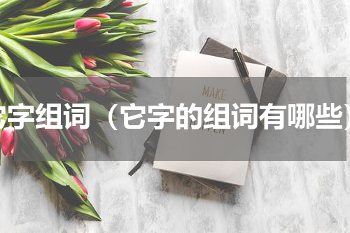 它字组词（它字的组词有哪些）