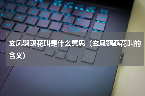 玄凤鹦鹉花叫是什么意思（玄凤鹦鹉花叫的含义）