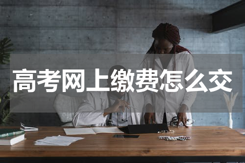 高考网上缴费怎么交