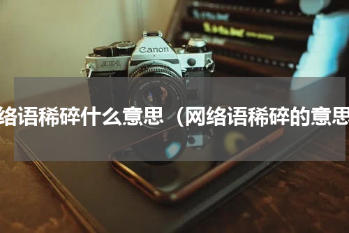 网络语稀碎什么意思（网络语稀碎的意思）