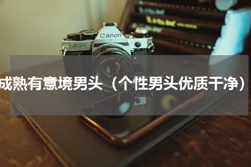 成熟有意境男头（个性男头优质干净）