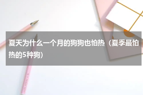 夏天为什么一个月的狗狗也怕热（夏季最怕热的5种狗）