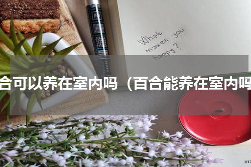 百合可以养在室内吗（百合能养在室内吗）