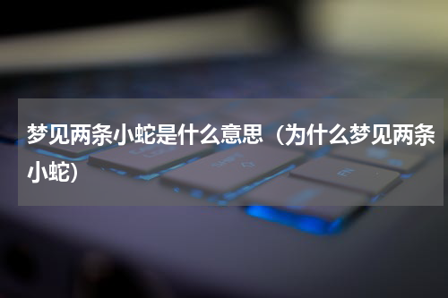 梦见两条小蛇是什么意思（为什么梦见两条小蛇）