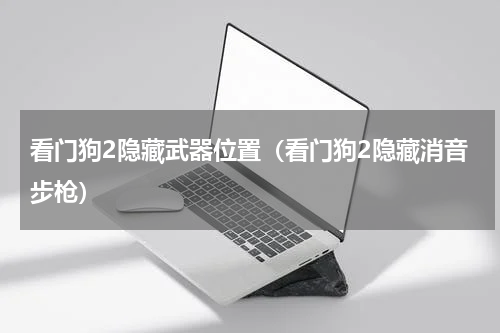 看门狗2隐藏武器位置（看门狗2隐藏消音步枪）