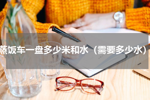 蒸饭车一盘多少米和水（需要多少水）