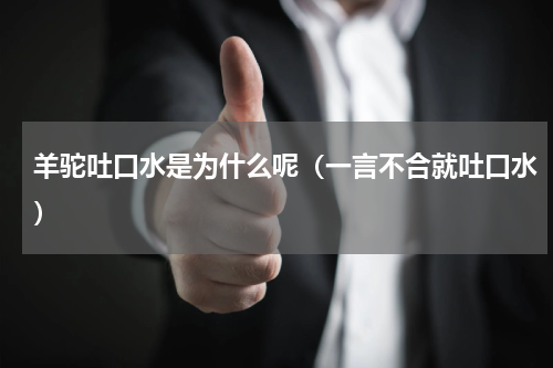 羊驼吐口水是为什么呢（一言不合就吐口水）