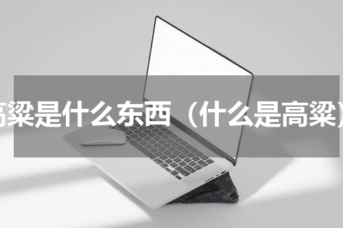 高粱是什么东西（什么是高粱）