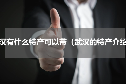 武汉有什么特产可以带（武汉的特产介绍）