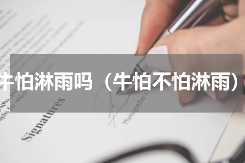牛怕淋雨吗（牛怕不怕淋雨）