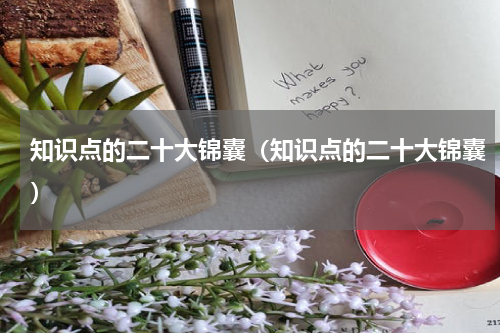 知识点的二十大锦囊（知识点的二十大锦囊）