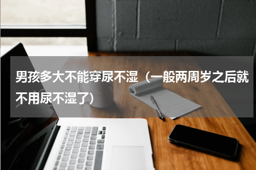 男孩多大不能穿尿不湿（一般两周岁之后就不用尿不湿了）