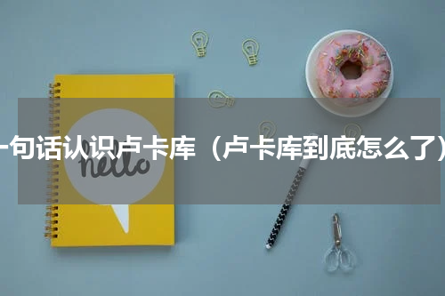 一句话认识卢卡库（卢卡库到底怎么了）