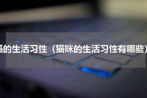 猫的生活习性（猫咪的生活习性有哪些）