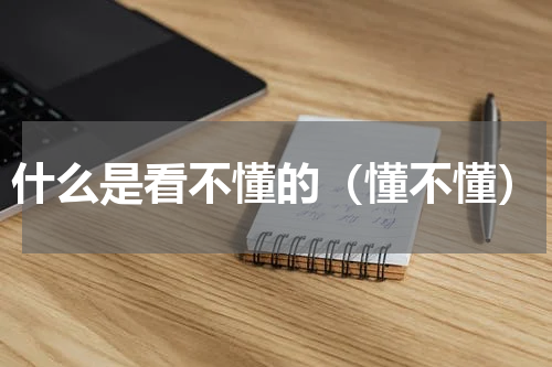 什么是看不懂的（懂不懂）