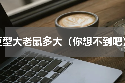 巨型大老鼠多大（你想不到吧）