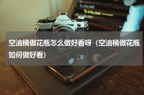 空油桶做花瓶怎么做好看呀（空油桶做花瓶如何做好看）