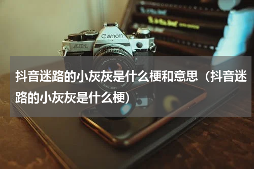 抖音迷路的小灰灰是什么梗和意思（抖音迷路的小灰灰是什么梗）