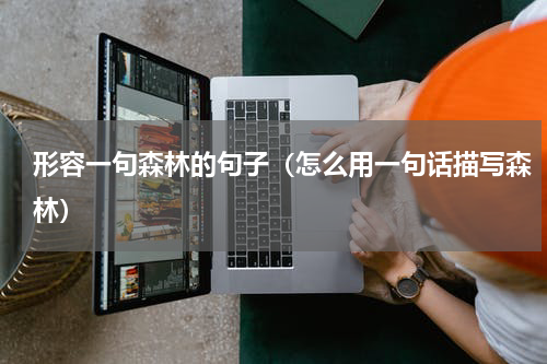 形容一句森林的句子（怎么用一句话描写森林）