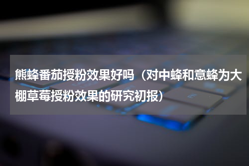 熊蜂番茄授粉效果好吗（对中蜂和意蜂为大棚草莓授粉效果的研究初报）