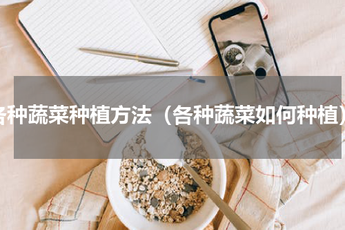 各种蔬菜种植方法（各种蔬菜如何种植）