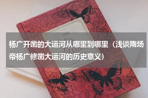 杨广开凿的大运河从哪里到哪里（浅谈隋炀帝杨广修凿大运河的历史意义）