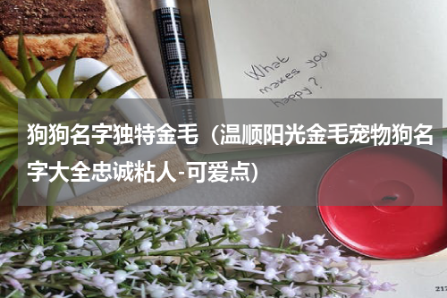 狗狗名字独特金毛（温顺阳光金毛宠物狗名字大全忠诚粘人-可爱点）