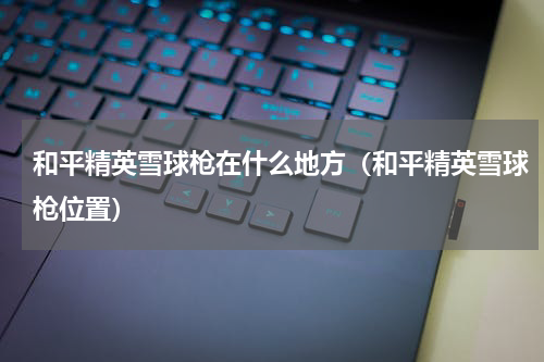 和平精英雪球枪在什么地方（和平精英雪球枪位置）