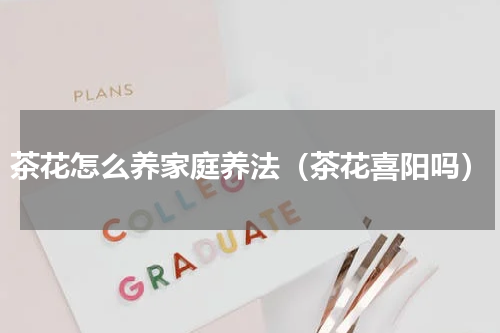 茶花怎么养家庭养法（茶花喜阳吗）