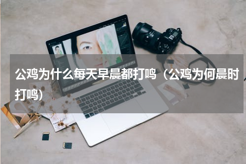 公鸡为什么每天早晨都打鸣（公鸡为何晨时打鸣）