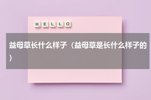 益母草长什么样子（益母草是长什么样子的）