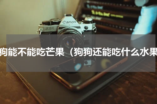 狗狗能不能吃芒果（狗狗还能吃什么水果）