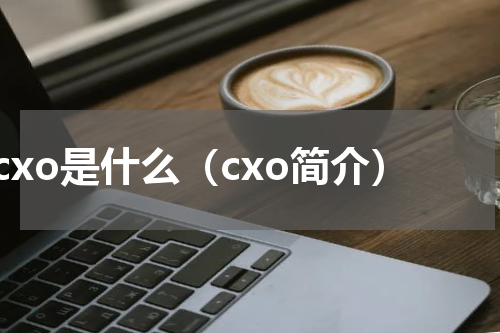cxo是什么（cxo简介）
