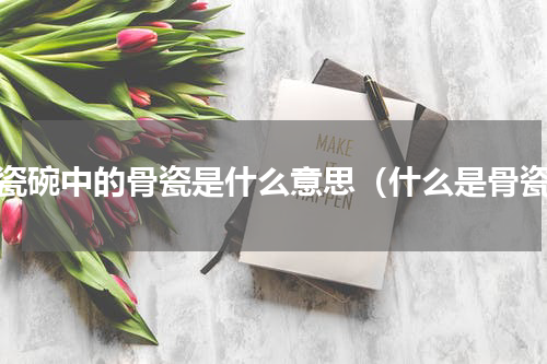 骨瓷碗中的骨瓷是什么意思（什么是骨瓷）