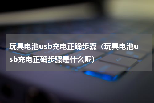 玩具电池usb充电正确步骤（玩具电池usb充电正确步骤是什么呢）