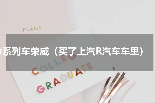 r系列车荣威（买了上汽R汽车车里）