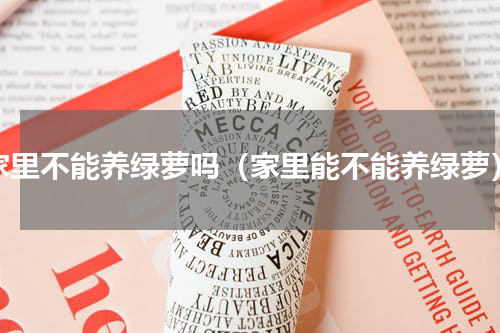 家里不能养绿萝吗（家里能不能养绿萝）