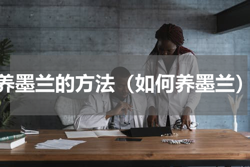 养墨兰的方法（如何养墨兰）