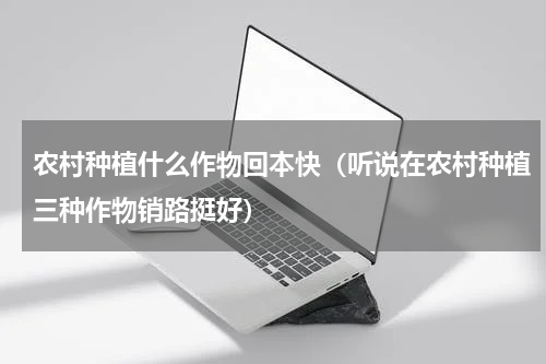 农村种植什么作物回本快（听说在农村种植三种作物销路挺好）