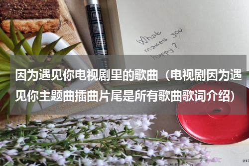 因为遇见你电视剧里的歌曲（电视剧因为遇见你主题曲插曲片尾是所有歌曲歌词介绍）