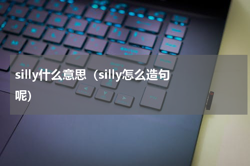silly什么意思（silly怎么造句呢）