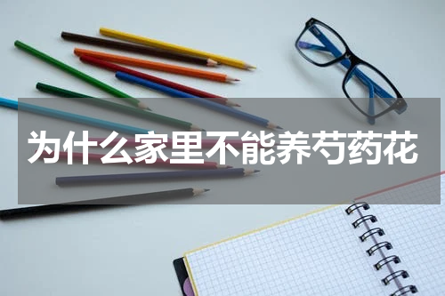 为什么家里不能养芍药花