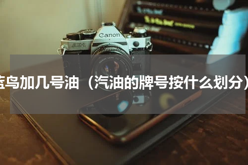 蓝鸟加几号油（汽油的牌号按什么划分）