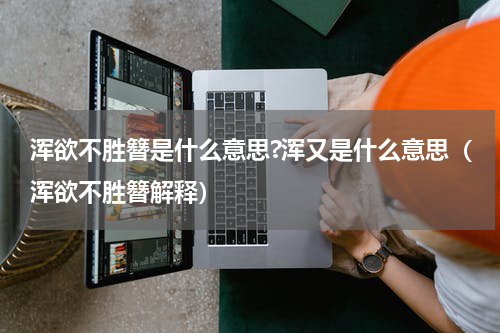 浑欲不胜簪是什么意思?浑又是什么意思（浑欲不胜簪解释）