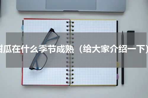 甜瓜在什么季节成熟（给大家介绍一下）