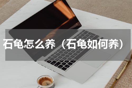 石龟怎么养（石龟如何养）