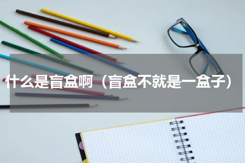什么是盲盒啊（盲盒不就是一盒子）