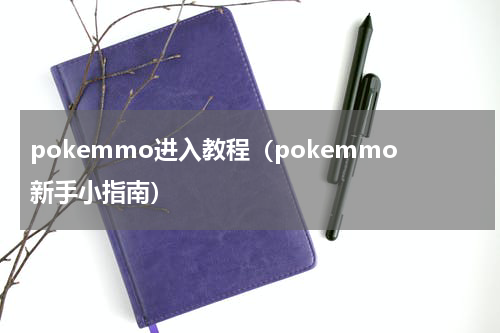 pokemmo进入教程（pokemmo新手小指南）