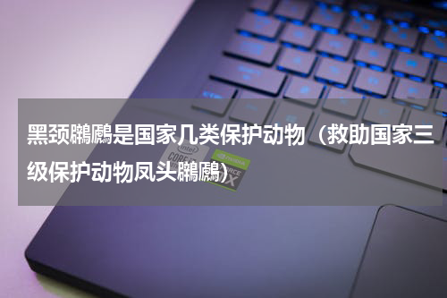 黑颈鸊鷉是国家几类保护动物（救助国家三级保护动物凤头鸊鷉）